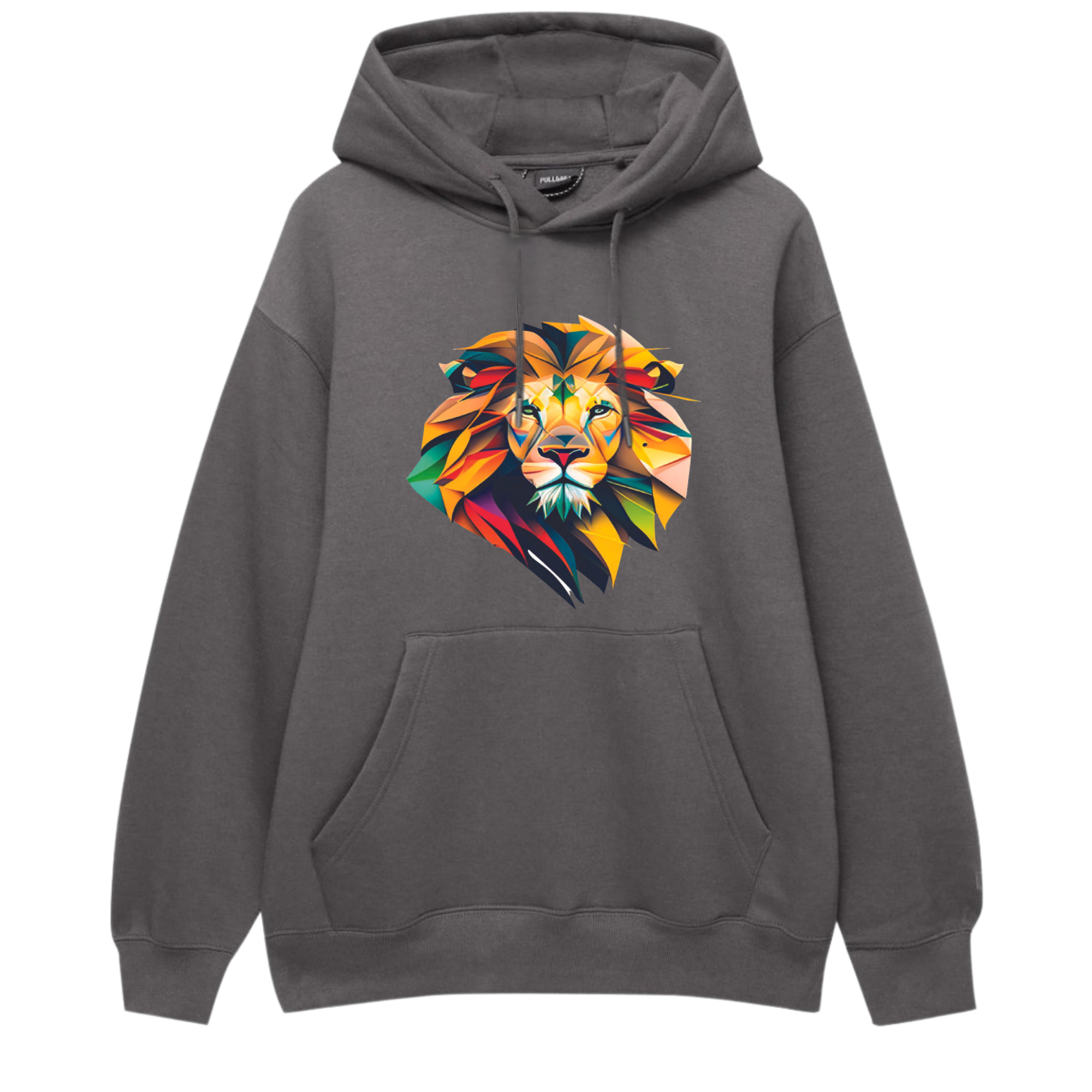 Lion Cozy Long Sleeve Hoodie