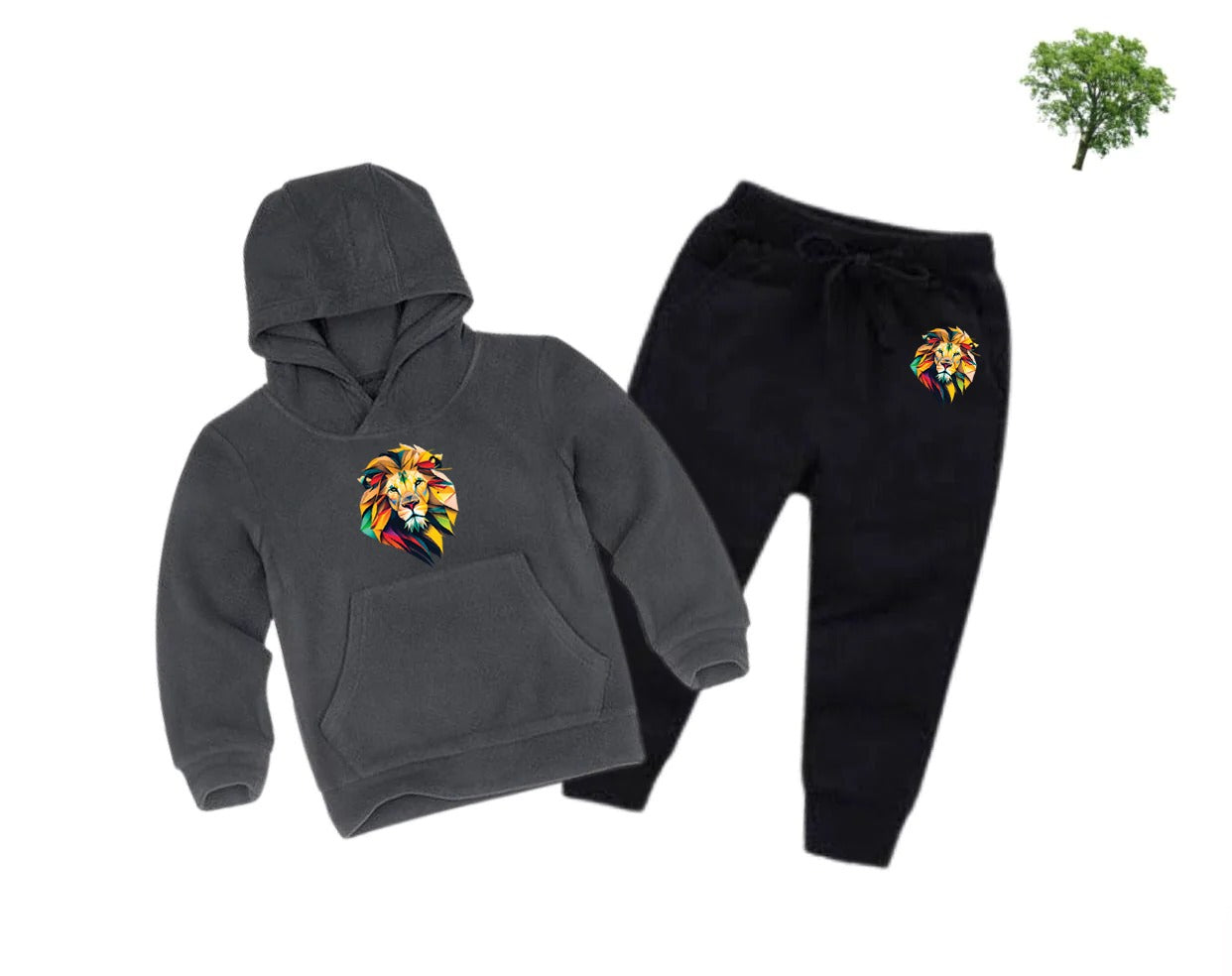 Lion Printed Kids Hoodie Set